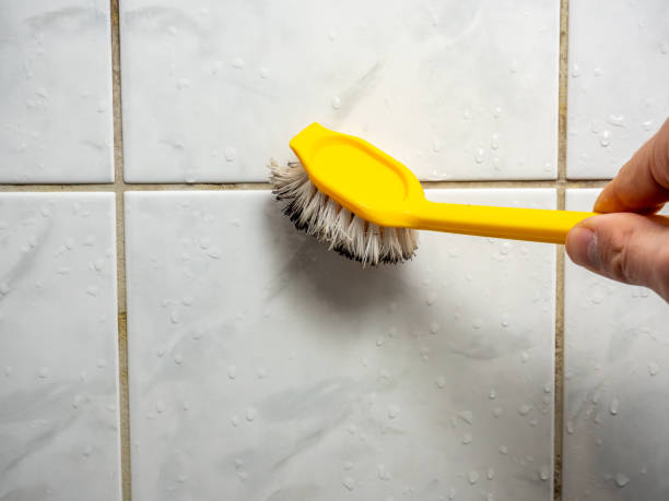 Best Mold Removal Company Near Me  in Greenville, MI
