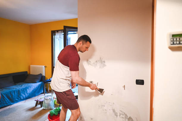 Best Mold Remediation Services  in Greenville, MI